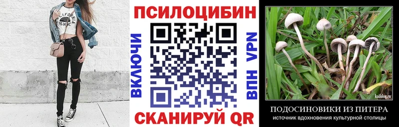 Псилоцибиновые грибы GOLDEN TEACHER  Избербаш 