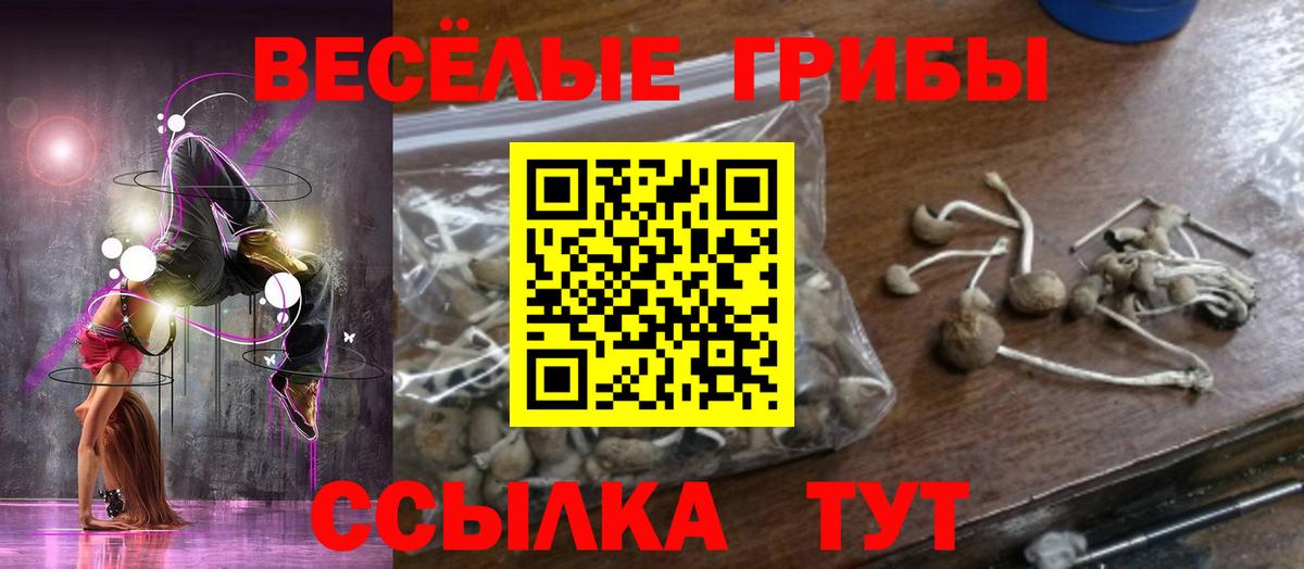 Избербаш  Псилоцибиновые грибы мицелий  Вход с VPN 