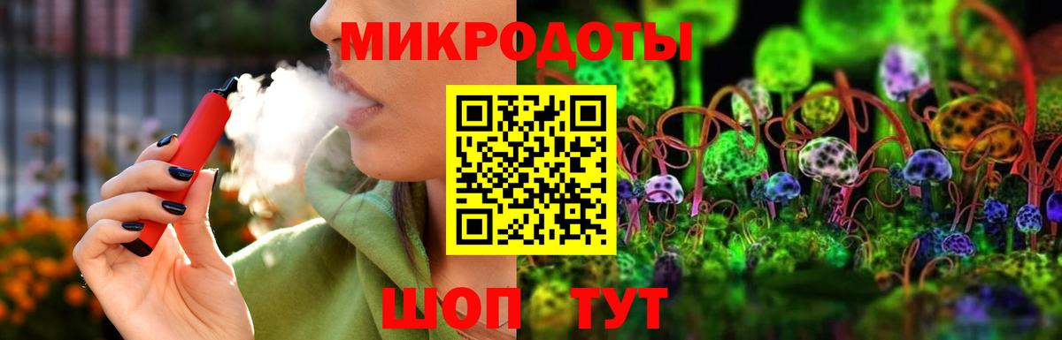 Псилоцибиновые грибы Psilocybe Избербаш